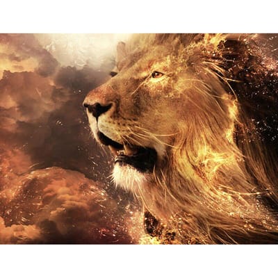 Peinture diamant à faire soi-même, motif lion, point de croix, mosaïque complète 20X30CM beige