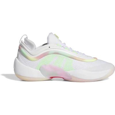 Basketbalschoenen adidas D.O.N. Issue 6