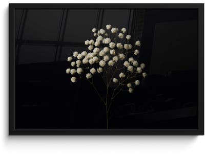 Poster in lijst - Fotolijst 60x40 cm - Posters - Gipskruid - Bloemetjes - Wit - Minimalistisch - Posterlijst zwart - Decoratie - Wanddecoratie woonkamer - Muurdecoratie slaapkamer