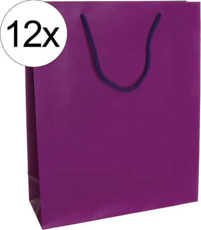 12st. stevige draagtassen papier (26x32x10)cm zak cadeautasje gift bag verpakking gedraaid koord greep