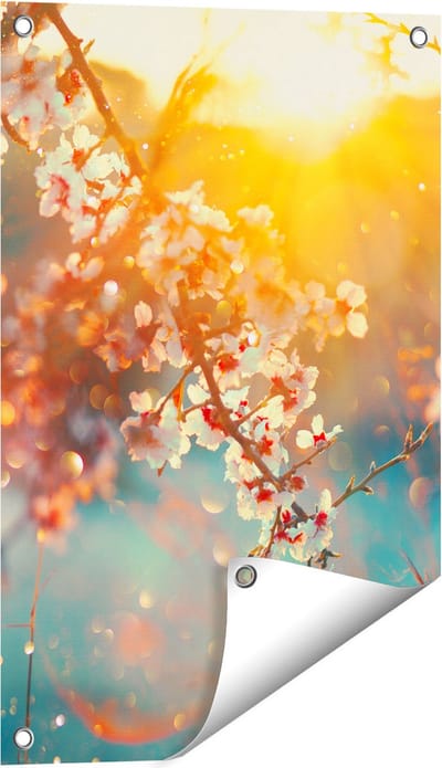 Gards Tuinposter Bloesemboom tijdens Zonsondergang - Bloem - 40x60 cm - Tuindoek - Tuindecoratie - Wanddecoratie buiten - Tuinschilderij