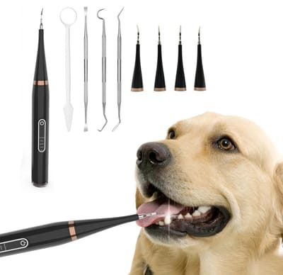 Honden tandenborstel-tandsteen verwijderaar hond -Elektrische tandflossset voor honden - 5 instelbare snelheden - Inclusief 4 flossers - Tandenborstel niet inbegrepen - Verwijdert vlekken van katten- en hondentanden - Zwart - 21,6 x 2,7 cm