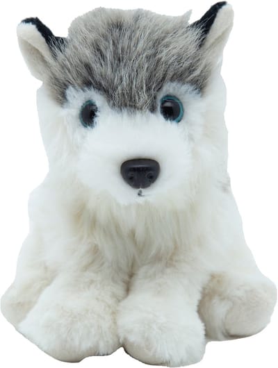 Cute since 1999 - Knuffel Husky - Hurkende Husky speelgoed - Baby knuffel - 17cm