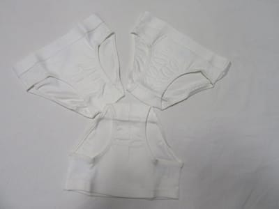 petit bateau , jongens, onderbroek , slip , 3 pack , wit , 6 jaar 114