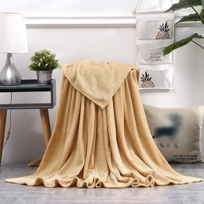 Couverture en laine Farai de couleur unie, couverture en laine de corail pour animaux de compagnie, couverture en flanelle transfrontalière, cadeau en laine de corail 100*150cm chameau
