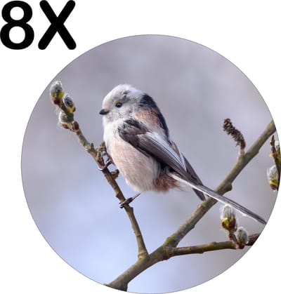 Luxe Ronde Placemat - Wit met Zwart Vogeltje in de Boom - Set van 8 Placemats - 50x50 cm - 2 mm dik Vinyl - Anti Slip - Afneembaar