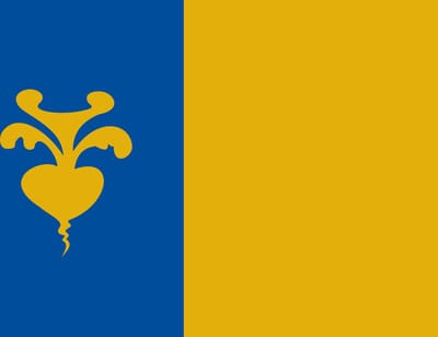 Vlag Sint-Niklaas 100x150cm