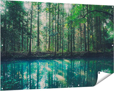 Gards Tuinposter Bos bij een Groen Meer - 150x100 cm - Tuindoek - Tuindecoratie - Wanddecoratie buiten - Tuinschilderij