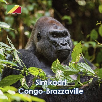 InternationalSIM Data Simkaart Mozambique - 3 GB - 15 dagen