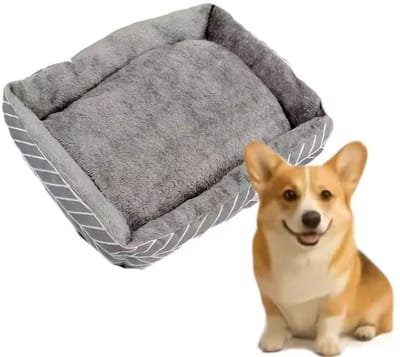 Daity Winterwarm hondenbed - Superzacht pluche kussen Geen montage nodig - Dikke kussens Geschikt voor kleine - middelgrote en grote honden en katten - Comfortabel hondenhok - Extra groot hondenbed - Dik hondenbed - Middelgroot formaat 60*45cm