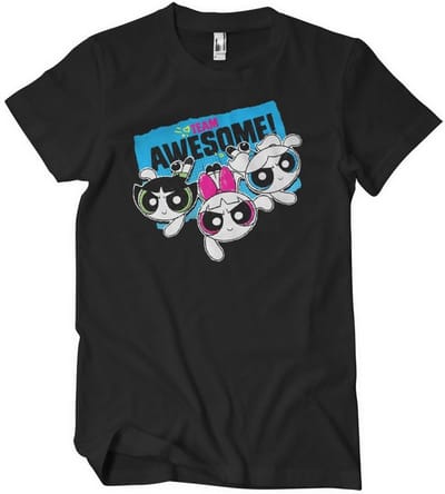 Power Puff Girls Team Awesome Big Tall T-shirt WB-1-PPG002-DTF845