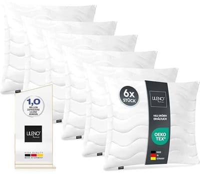 LILENO HOME Hoofdkussen, 50 x 50 cm, set van 6, als kussenvulling, bed of decoratief kussen met ritssluiting om aan te passen, wasbaar tot 95 °C, sofa-kussen en sierkussen voor bank/bed