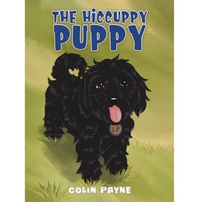 The Hiccuppy Puppy - Payne, Colin