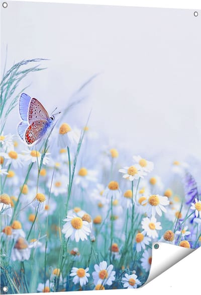 Gards Tuinposter Witte Kamille Bloemen met een Vlinder - 80x100 cm - Tuindoek - Tuindecoratie - Wanddecoratie buiten - Tuinschilderij