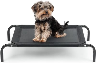 Verhoogd Hondenligbed Outdoor Stabiel met Ademend Gaas en Metalen Frame