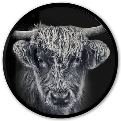 Poster in lijst Rond - Fotolijst 40x40 cm - Posters - Schotse hooglander - Zwart - Koe - Dieren - Ronde posterlijst zwart - Decoratie - Wanddecoratie woonkamer - Muurdecoratie slaapkamer