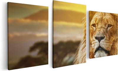 Artaza Canvas Schilderij Drieluik Leeuw - Leeuwenkop - 120x60 - Foto Op Canvas - Canvas Print