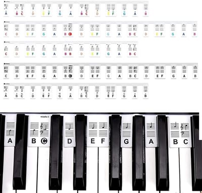 Piano Noten Labels - Muziek Stickers - Beginners Leren - Verwijderbaar & Wasbaar - 61/88 Toetsen - Kleurrijk