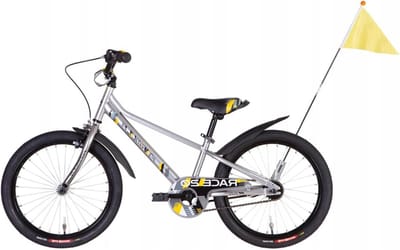 Kinderfiets - Jongensfiets Meisjesfiets - Veilig Fietsen - Stabiel Stalen Frame - 20 Inch - Grijs