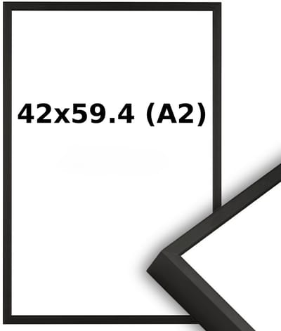 Aluminium Wissellijst A2 42 x 59.4 - Zwart - Helder Glas - Professional