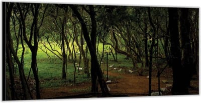 KuijsFotoprint - Schilderij - Stenen In Het Bos - Groen En Bruin - 100 X 200 Cm