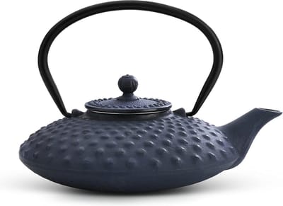 Blauwe gietijzeren theepot 08 liter Xilin - roestvrijstalen filter - theepot met vlak ontwerp