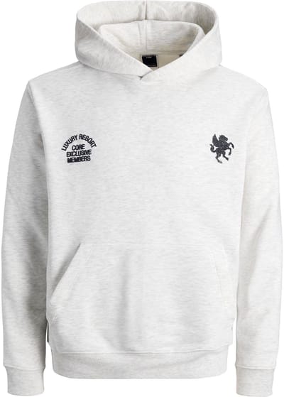 JACK&JONES - JCOCREST PRINT SWEAT HOOD - Heren - Sweaters