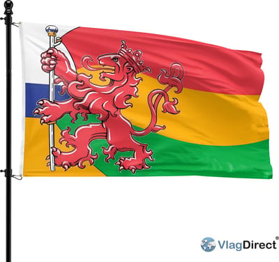 VlagDirect - Vasteloaves Vlag - Limburgse Carnaval Vlag - 90 x 150 cm.