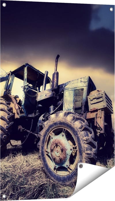 Gards Tuinposter Oude Tractor op het Grasveld - Trekker - 60x90 cm - Tuindoek - Tuindecoratie - Wanddecoratie buiten - Tuinschilderij