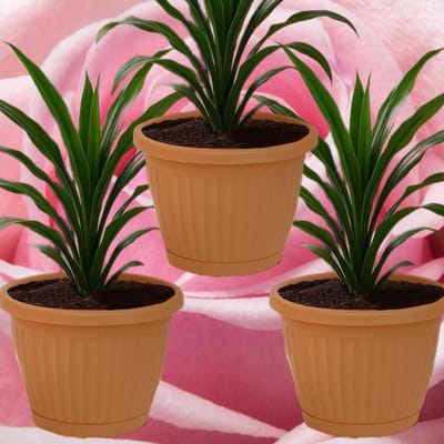 Kemer Bloempotten Set - 3-Delig - Terra Cotta Kleur - Winterhard en UV-bestendig - Inclusief Gratis Waterschaal