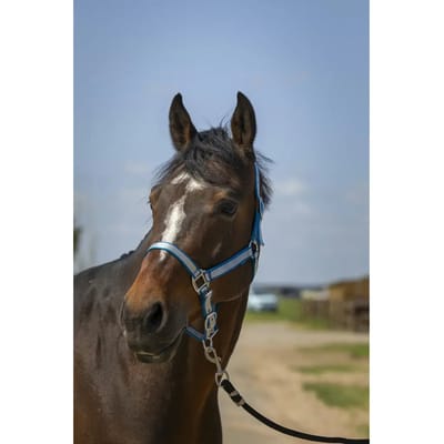 Zacht nylon halster voor paarden Norton