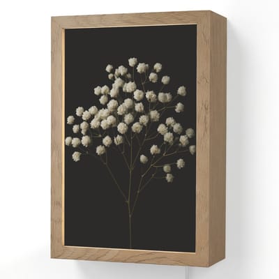 Wandlamp 20x30 cm - Oplaadbaar - Gipskruid - Bloemetjes - Wit - Minimalistisch - Wandlampen binnen woonkamer - Slaapkamer lamp met kabel - Decoratieve nachtlamp - Vloerlamp snoer