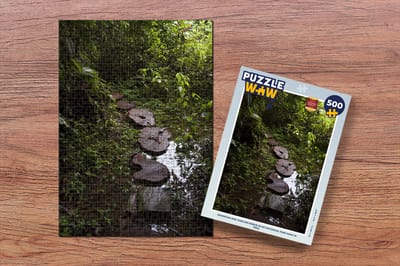 Puzzel Boomstam-weg over een beekje in het Nationaal park Manu in Peru - Legpuzzel - Puzzel 500 stukjes