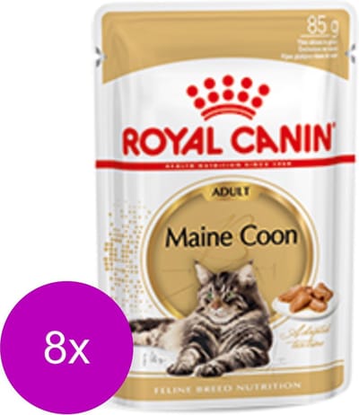 Royal Canin Maine Coon Adult Natvoer - Kattenvoer - 8 x 12x85 g