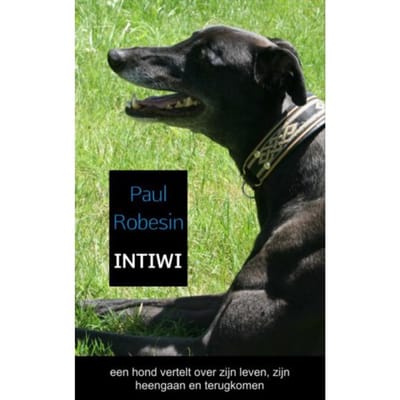 Intiwi - Paul Robesin