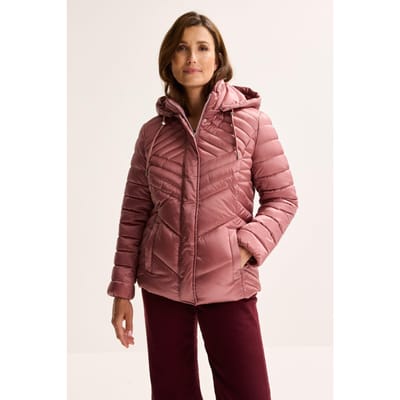 Getailleerd Quilted Jasje