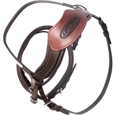 Open horse riding headset with bridge Kavalkade Cre8 Malou