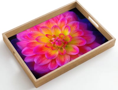 Dienblad hout 50x35 cm - Schootdienblad - Roze - Dahlia - Kleurrijk - Borrelplank rechthoek - Plateau dienbladen