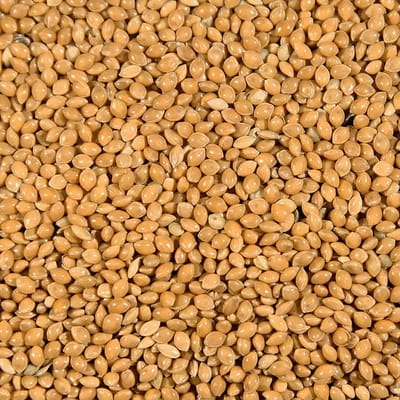 Duvoplus - Binnenvogelvoer - Vogel - Millet Geel = Rondzaad Geel Duvo 20kg - 1st