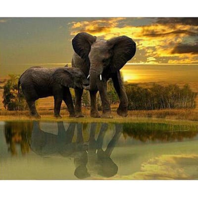 Diamant schilderij dier olifant kruissteek diamant geborduurd strass diamantpatroon 20X30CM black
