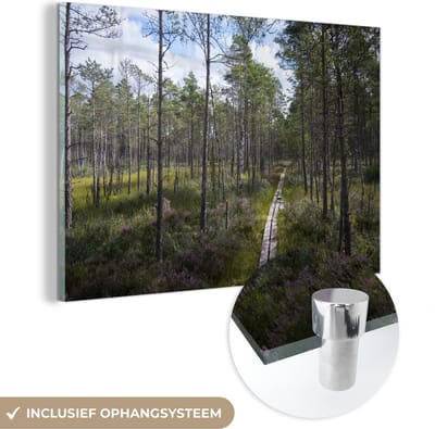® Glasschilderij 180x120 cm - Schilderij acrylglas - Een wandelweg door de bossen van het Nationaal park Store Mosse in Zweden - Foto op glas - Muurdecoratie woonkamer - Wanddecoratie slaapkamer - Schilderijen