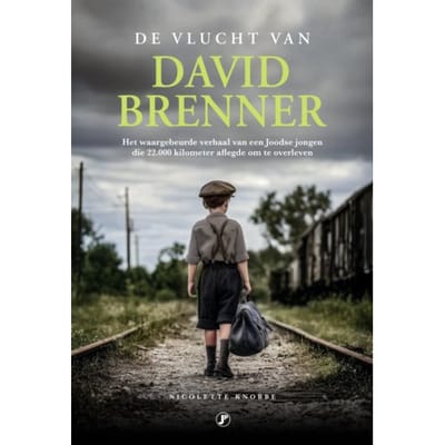 De Vlucht Van David Brenner - Nicolette Knobbe