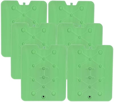 Excellent Houseware Koelelement Ice Pack - 6x - groen - plat - polyethyleen - 900 gram - 32 x 25 x 1 cm - schijf