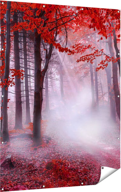 Gards Tuinposter Rood Bos met Bomen - 120x160 cm - Tuindoek - Tuindecoratie - Wanddecoratie buiten - Tuinschilderij