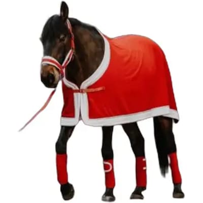 Fleece shirt voor paarden Equithème Xmas