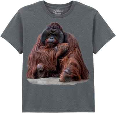 KIDS Wisdom Beyond Words - Orangutan The Coloured House KIDS T-shirt XL