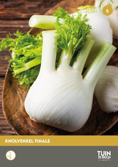 Knolvenkel Zaden Finale – Venkel om Zelf te Kweken – Groentezaden voor Moestuin – ±0,5g - Tuin de Bruijn® zaden