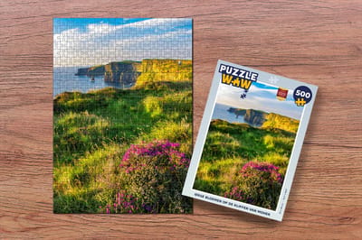 Puzzel Ierse bloemen op de Kliffen van Moher - Legpuzzel - Puzzel 500 stukjes