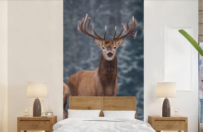 Behang - Fotobehang Bosdieren - Hert - Landschap - Winter - Sneeuw - Natuur - Breedte 120 cm x hoogte 240 cm