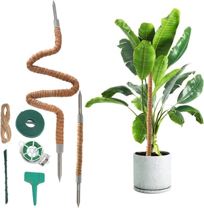 Klimplant Ondersteuning van Kokosvezel, Vouwbare Monstera Steun voor Binnen, Dubbele Kokosstok met IJzerdraad en Touw voor Groene Planten